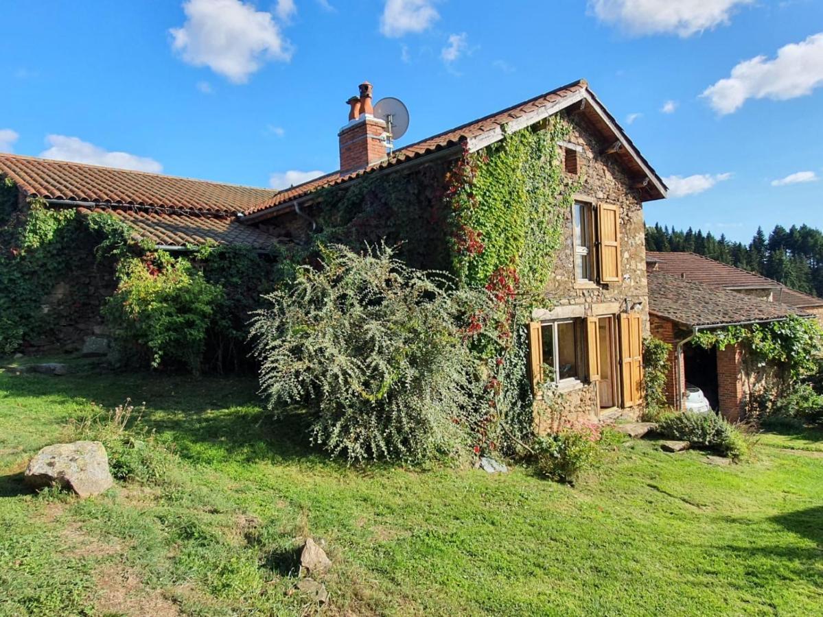Eco-Gite Cottage Panoramique, Terrasses, Baby Foot, 150 M2 Renove Et Agrandi En 2024, Activites Proposees Champagnac-le-Vieux Buitenkant foto